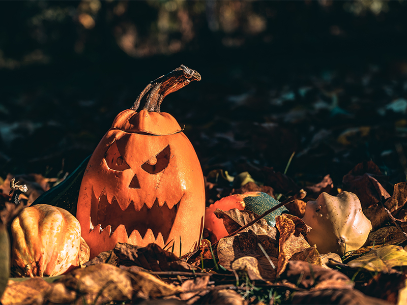¡Elige el escaparate de Halloween que más te gusta!